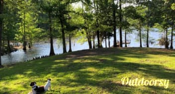South Toledo Bend State Park Guide Outdoorsy
