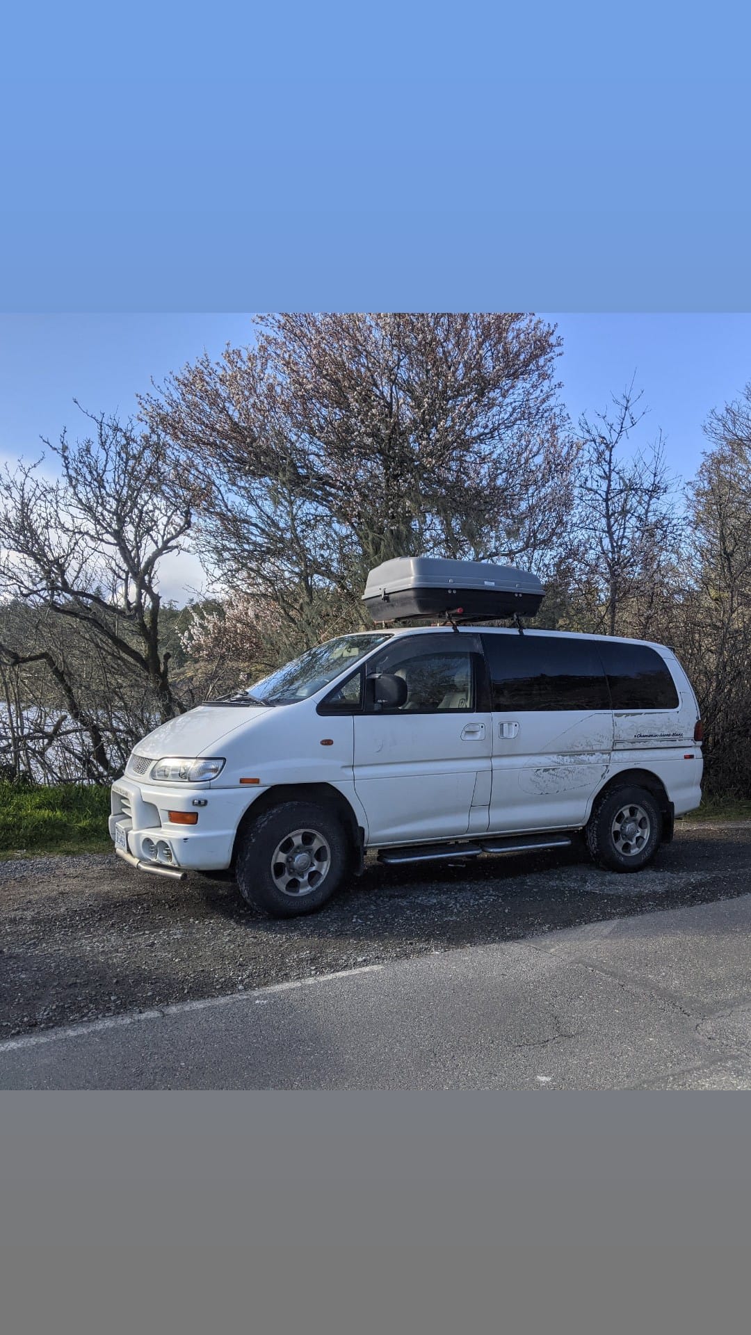 Mitsubishi delica 2000