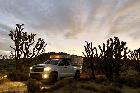 Truck Camper