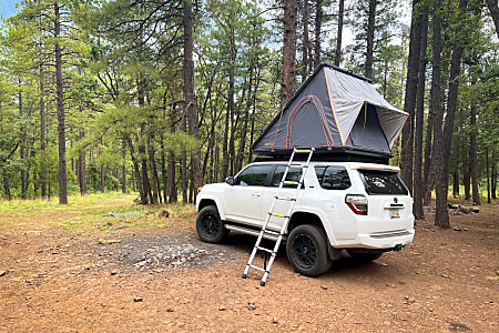 Truck Camper