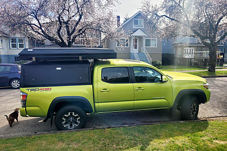Truck Camper