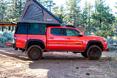 Truck Camper