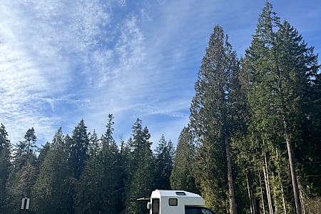 Truck Camper