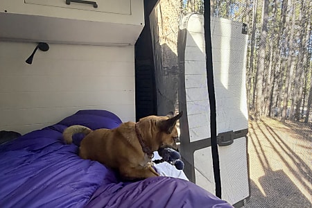 Camper van