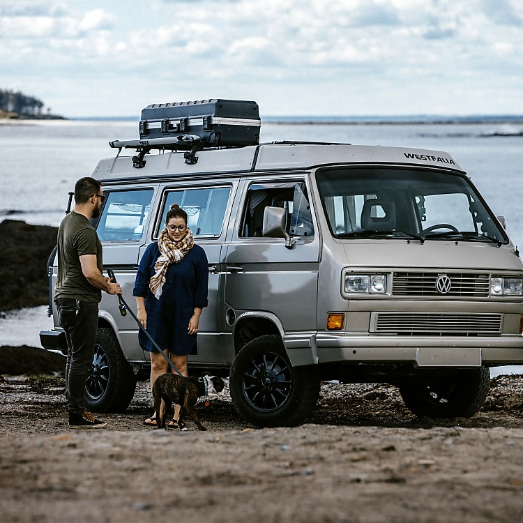 vw westfalia camper van