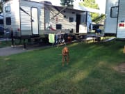 2016 Starcraft Ar-One MAXX available for rent in Mount Elgin Ontario