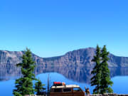 1985 Volkswagen Westfalia Class B for rent in Mokelumne Hill California