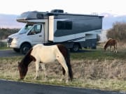 2020 Winnebago Mercedes Sprinter available for rent in Wayne New Jersey