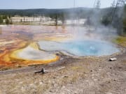 2020 Ford Transit Class B for rent in Jackson Wyoming