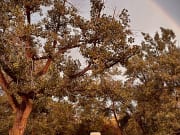 2021 Airstream International Travel Trailer for rent in Lakewood Colorado