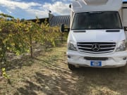 2020 Regency RV Ultra Brougham Class B for rent in Barnstable Massachusetts