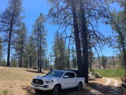 2020 Toyota Tacoma Truck Camper for rent in Los Angeles California
