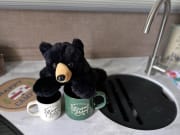 2019 R-Pod  by Forest River for rent in 80019