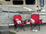 2015 Forest River Coachmen Leprechaun Class C for rent in Orlando Florida