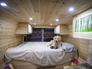2016 Sprinter Van  by Dodge for rent in 80401