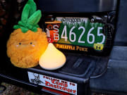 2009 Toyota FJ Cruiser Truck Camper for rent in Portland Oregon