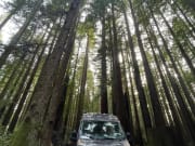 2019 Carado Banff available for rent in Altadena California