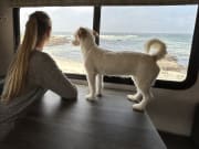 2021 Forester  by Forest River for rent in 93908