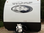 2024 Forest River Cherokee Wolf Pup 16BHS Travel Trailer for rent in Wisconsin Dells Wisconsin