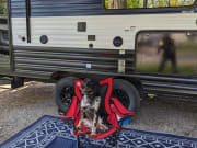 2024 Cherokee Grey Wolf 23DBH  by Forest River for rent in 55302