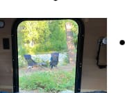 2022 Colorado Teardrop Mount Massive  by Colorado for rent in 80524