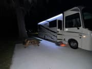 2024 Entegra Coach Vision available for rent in Plantation Florida
