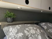 2019 Ford Custom Transit Class B for rent in Los Gatos California