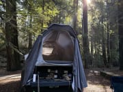 2024 Tesla Cybertruck available for rent in Seattle Washington