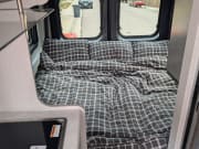 2024 Dazzle  by Thor for rent in 80130