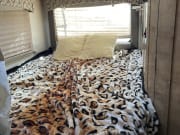 2021 Coachmen Leprechaun Class C for rent in Downey California