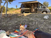 2019 Hymer Hymer Class B Class B for rent in San Diego California