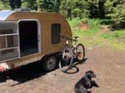 2021 haul master, crafstman Queen Teardrop Camper Utility Trailer available for rent in Gunnison, Colorado