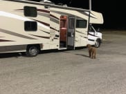 2018 Coachmen Leprechaun Class C available for rent in Concord, California