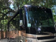 2015 Tiffin Motorhomes Allegro Class A available for rent in LUTZ, Florida