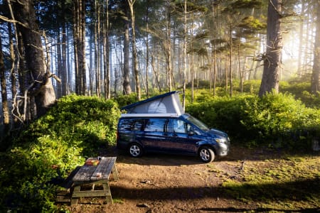 Elwha Full Westfalia  Rent a Camper Van — Peace Vans