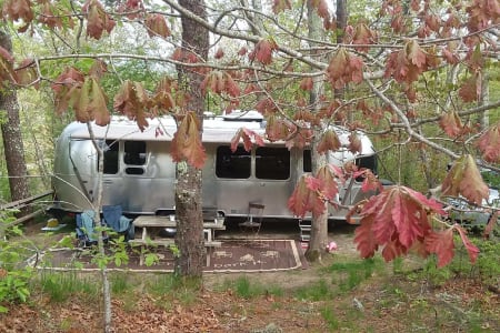 2018 Airstream International Serenity!