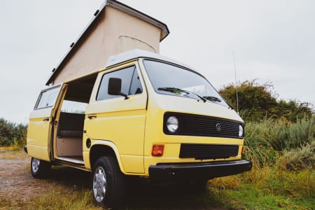 Volkswagen San Luis Obispo >> Pineapple Express 1984 Volkswagon Westfalia Volkswagen San Luis Obispo >> Pineapple Express 1984 Volkswagon Westfalia