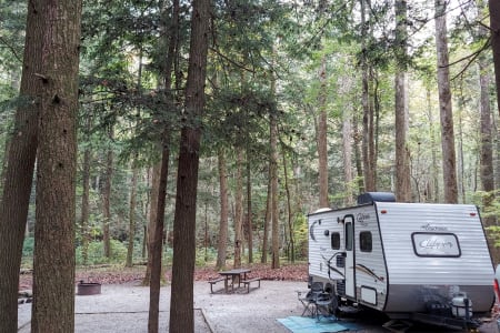 CreekwoodResortCampground Rv Rentals