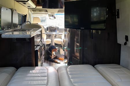 ApexRV rentals