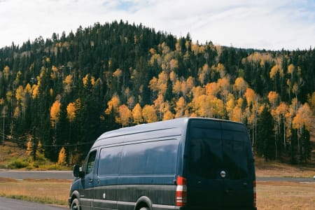 HenryCowellRedwoods Rv Rentals