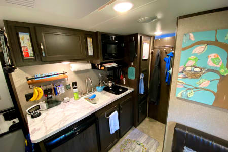 RoanMountainStatePark Rv Rentals