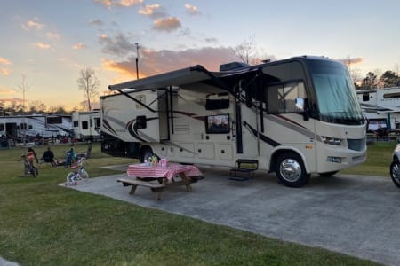 ROYAL PLM BCHRV rentals