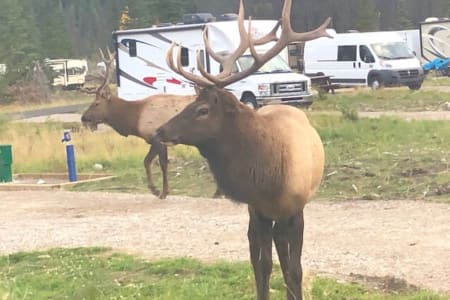 Hecla-GrindstoneProvincialPark Rv Rentals