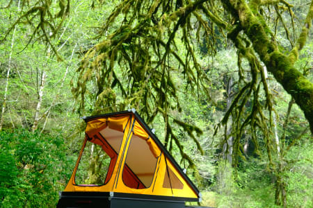 GrizzlyCreekRedwoodsStatePark Rv Rentals