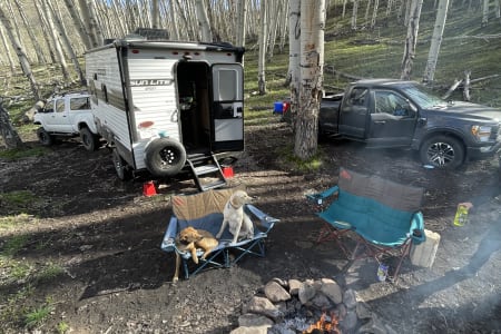 RidgwayStatePark Rv Rentals