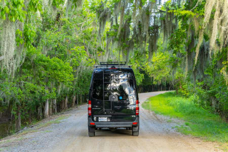 SamHoustonJonesStatePark Rv Rentals