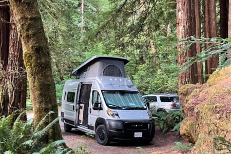 WoodlandRV rentals