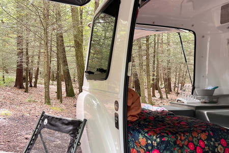 BlackMoshannonStatePark Rv Rentals