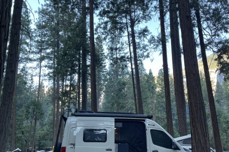 MuirWoodsNationalMonument Rv Rentals