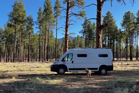 NansenWaysidePark Rv Rentals